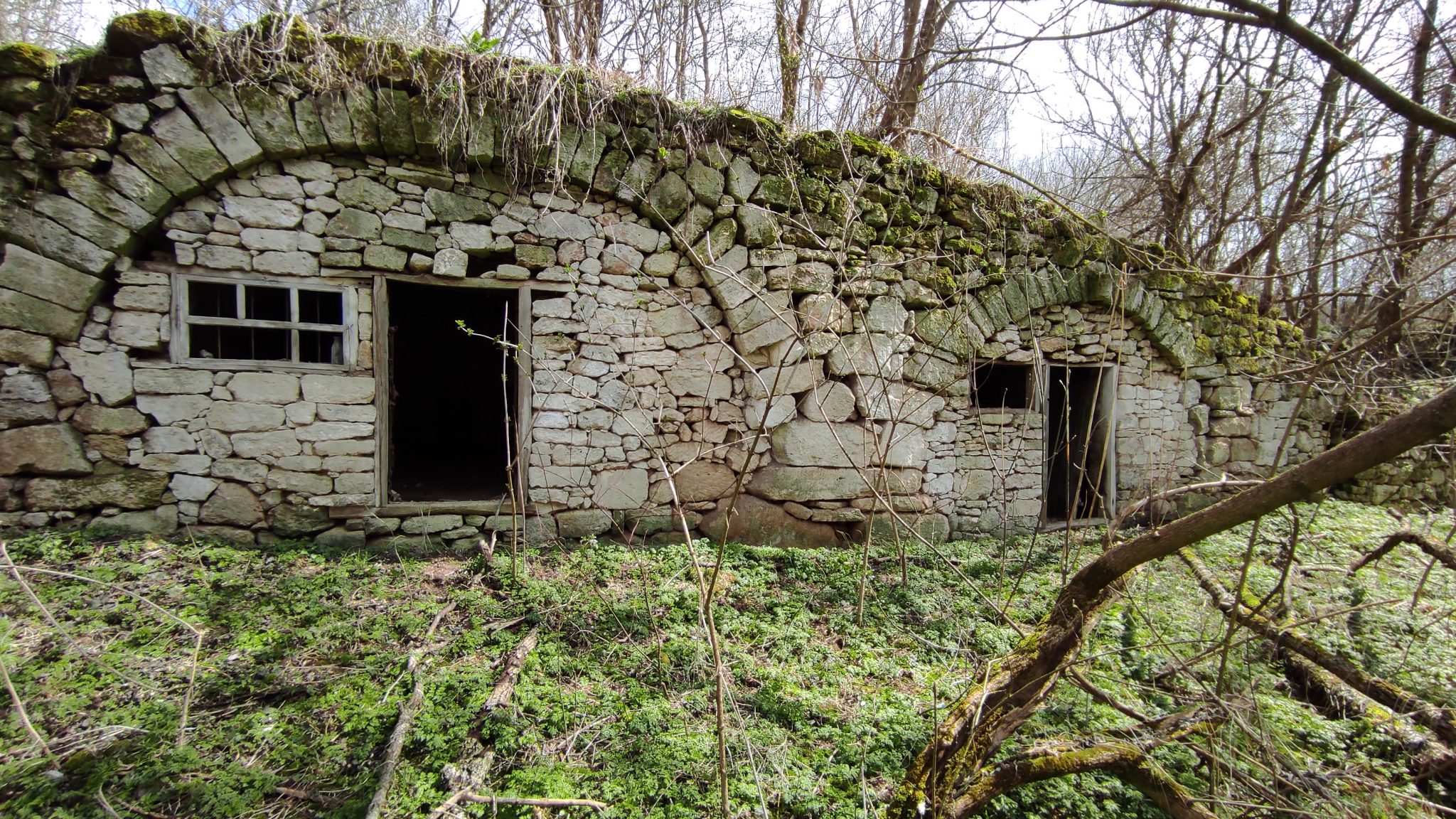 ВАЛЯ АДЫНКЭ. НОВЫЕ ГОРИЗОНТЫ