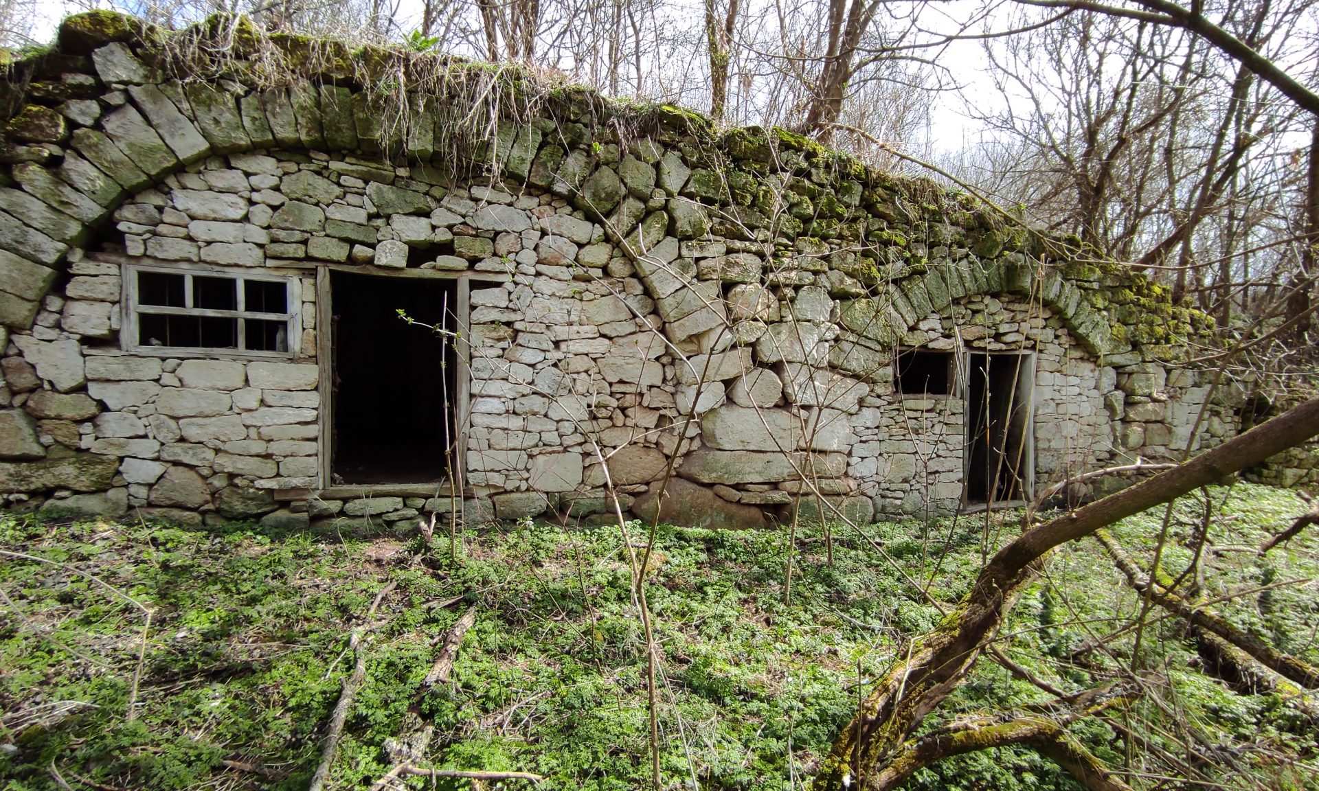 ВАЛЯ АДЫНКЭ. НОВЫЕ ГОРИЗОНТЫ 